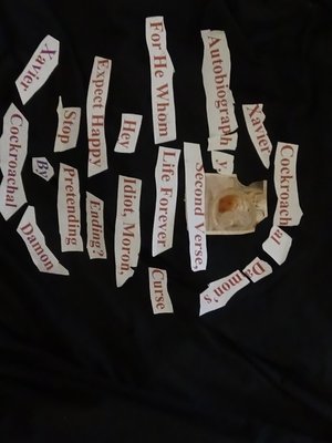 cover image of Xavier Cockroachal Damon's Autobiography, Second Verse, For He Whom Life Forever Curse Hey, Idiot, Moron, Expect Happy Ending? Stop Pretending